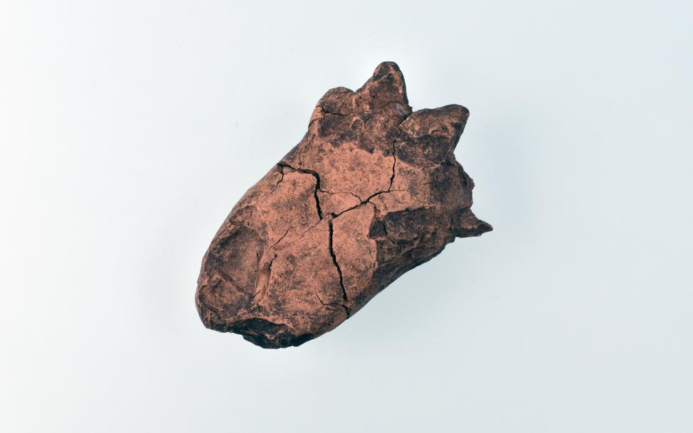 Syntolkning: Ett fotografi av en amulett av bränd lera som efterliknar en djurtass. Den är grovt formad som en tass och är cirka 9 centimeter lång, 4,5 centimeter bred och cirka 2,5 centimeter tjock. Den har tre synliga fingrar, eller klor, bevarade. På höger sida om fingrarna ses brottytan till de två fingrarna som saknas. Lertassen är ihop limmad av flera fragment och stora sprickor finns mitt över tassen. Från tassens mitt sträcker sig fler sprickor ut mot fingrarna. Ytan är flammig av ljusare bränd lera och mörkare partier av sot. Formen är inte helt rund och mjuk, utan flera bitar har lossnat.