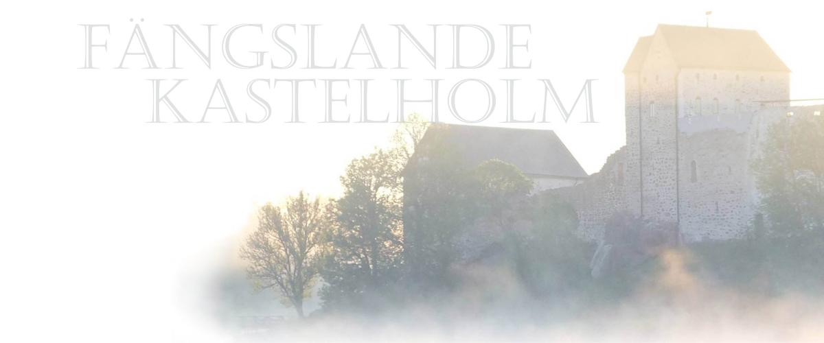 Dimmigt fotografi av Kastelholms slott