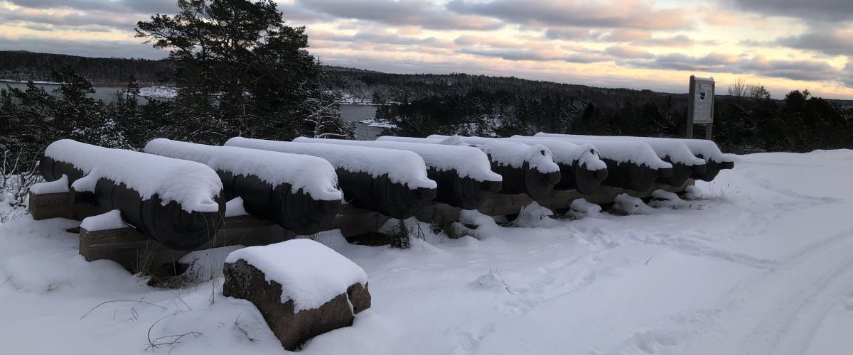 Ett vinterlandskap. I förgrunden 7 stycken kanoner som är täckta av snö. I bakgrunden träd och en glimt av vatten