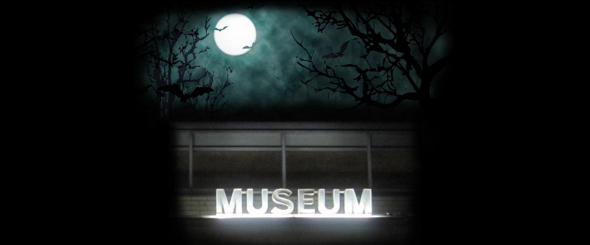 visar en bild på museet i månljus