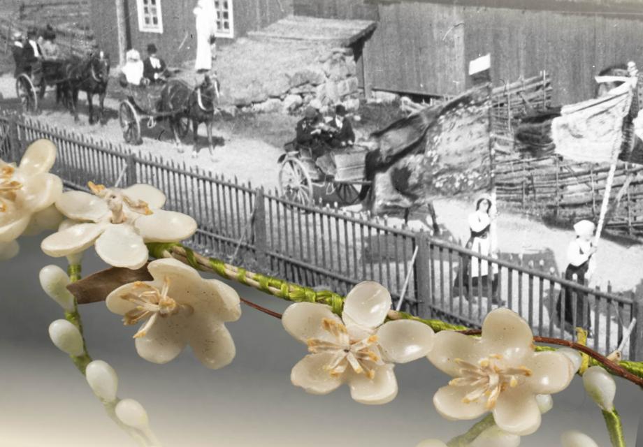 Fotocollage med färgfoto på en brudkrans utformat av vita vaxblommor i en stomme lindat med ljusgrön sidentråd i förgrunden. Bakom den syns ett gammalt svartvitt foto på en brudprocession. Damer i folkdräkter bär flaggor gjorda av sidenschalar och brudparet och andra följer i hästdragna kärror. 