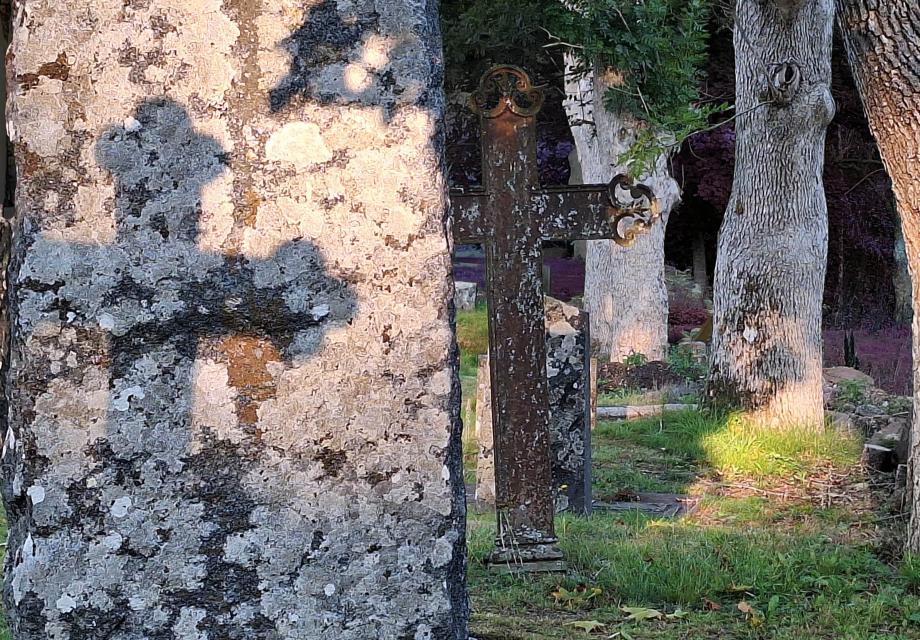 Ett redigerat färgfoto från gravgården i kvällsljuset. Gjutjärnkors kastar sina skuggor på gamla gravstenar och trädstammar. Mot bakgrunden förvandlas färgerna till negativa - grönt blir lila, såsom i en annan verklighet.