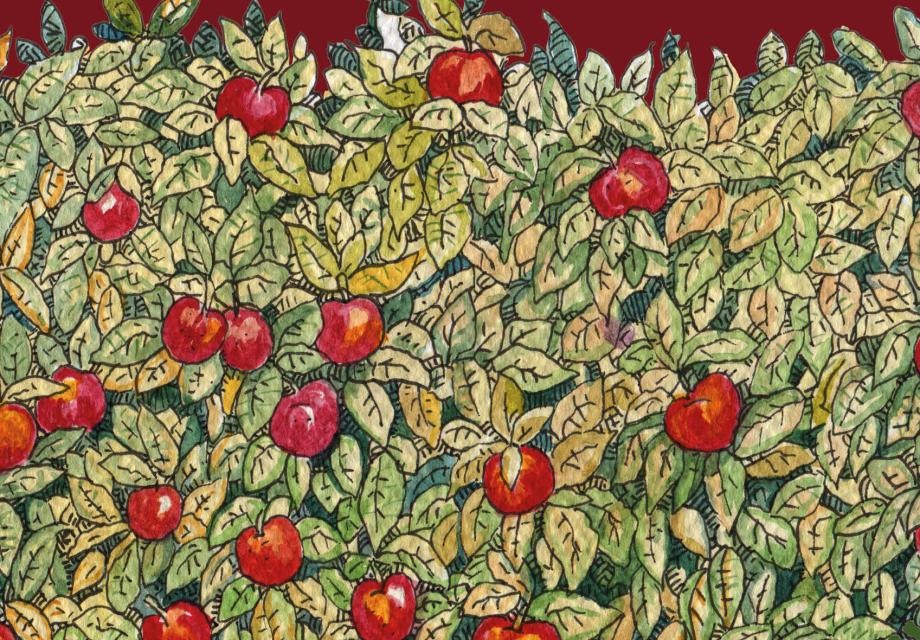 Illustration av äppelträd