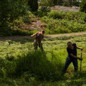 En äng på Jan-Karlsgården slås med lie
