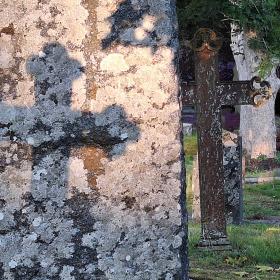 Ett redigerat färgfoto från gravgården i kvällsljuset. Gjutjärnkors kastar sina skuggor på gamla gravstenar och trädstammar. Mot bakgrunden förvandlas färgerna till negativa - grönt blir lila, såsom i en annan verklighet.