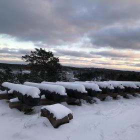 Ett vinterlandskap. I förgrunden 7 stycken kanoner som är täckta av snö. I bakgrunden träd och en glimt av vatten