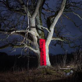 Bilden visar verket Oak no. 1 av Kenneth Bamberg