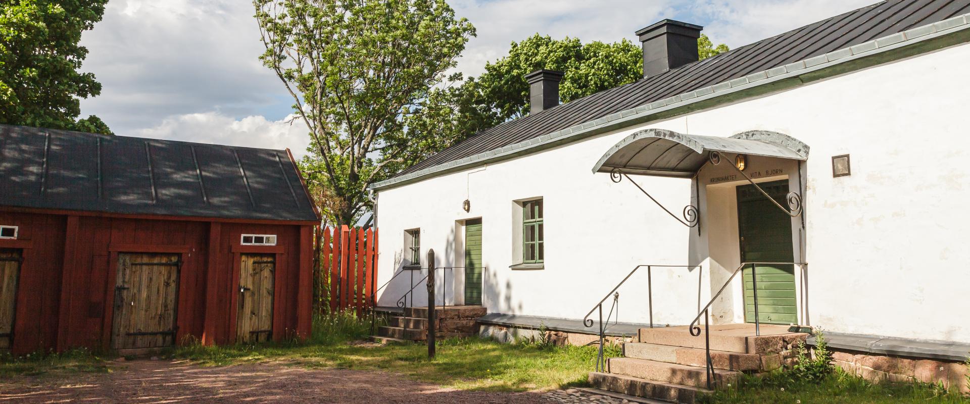 Vita Björn