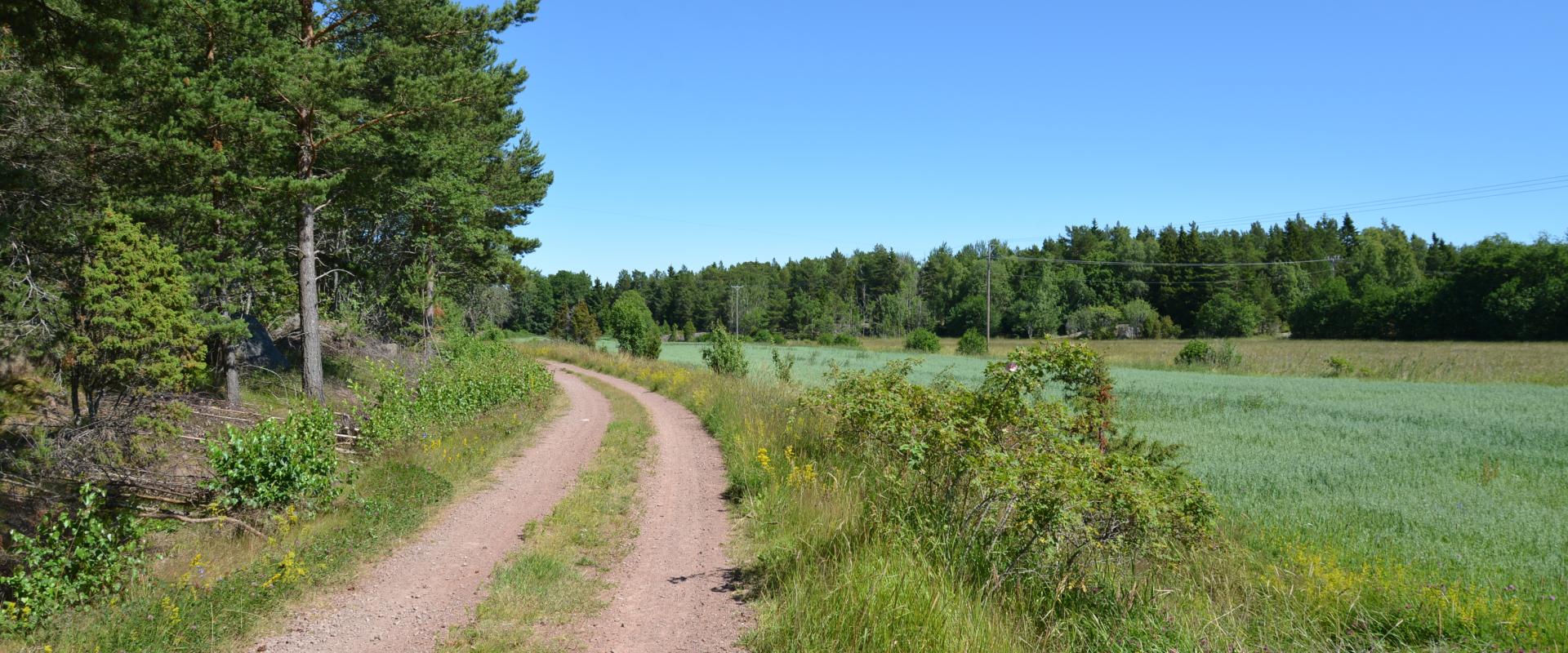 Byvägen slingrar sig fram mellan åker och skog