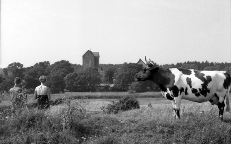 Byggnader och miljöer