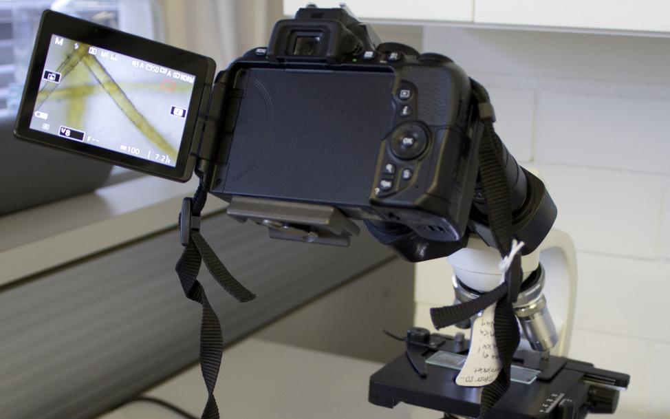 mikroskop med kamera
