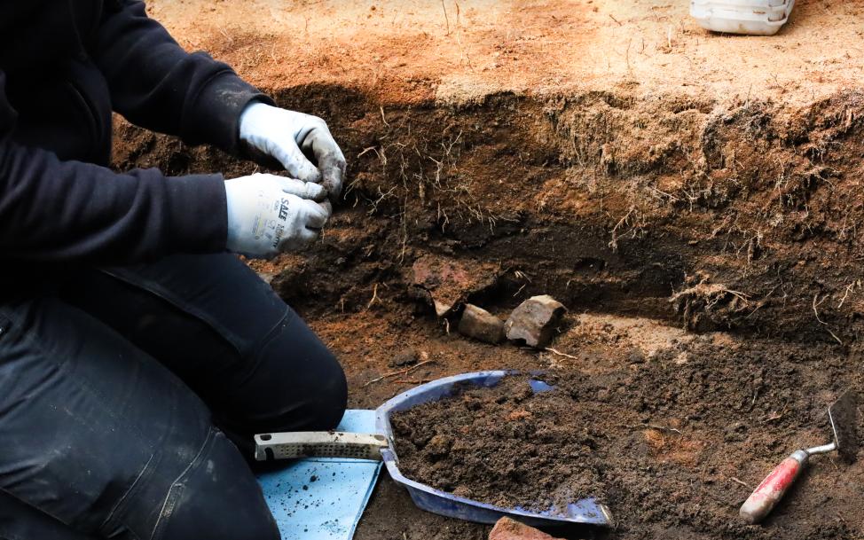 Syntolkning: Ett fotografi taget på en arkeologisk undersökning. På bilden ses en person sittandes på knä i en sandgrop med verktyg framför sig. Sanden är en finkornig sand, samma som finns på sandstränder. Gropen har en tydlig vägg som kallas för profil och sträcker sig horisontellt över bilden, och är cirka 40 cm djup. På marknivå är sanden ljus och torr. På profilväggen skiftar sanden i olika nyanser från ljust till mörkt. Ju närmare gropens botten desto mörkare är sanden. På gropens vägg, eller profil som arkeologerna kallar det, ses även många små växtrötter som sticker ut ur sanden. Personen som sitter på knä i gropen är till vänster i bild. Man ser endast knäna, en del av främre delen av övre kroppen och armarna. Personen är vänd mot bildens mitt. Hen bär mörka kläder och har vita tyghandskar. Hen håller i något som inte går att tyda vad är. På gropens botten, framför personens knän, ligger en blå sopskyffel med handtag. I sopskyffeln finns mörk sand. Framför sopskyffeln ligger en liten skärslev som är ett verktyg som arkeologer använder sig av när de gräver. Bredvid sopskyffeln, mot gropens hörn ligger två smutsiga stenar.