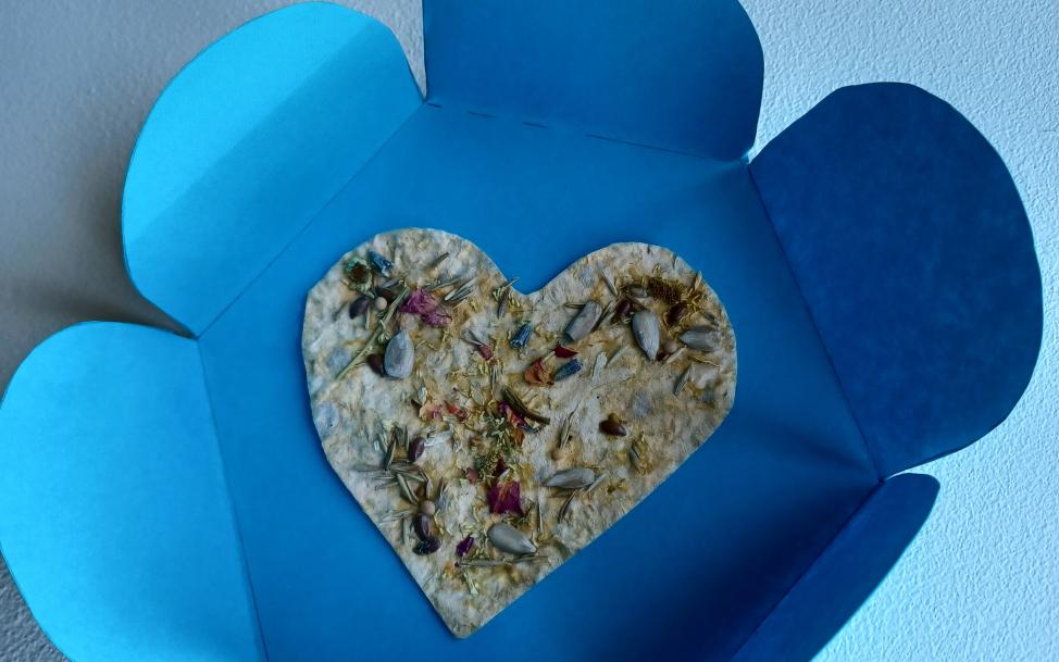 Färgfoto. Fröpapper klippt som ett hjärta på blått papper som har formen av en blomma.