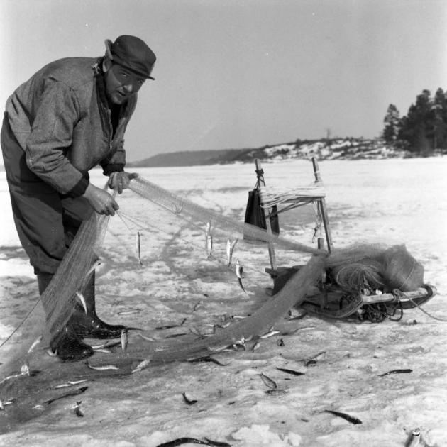 Fiskaren Karl Erik Bergman