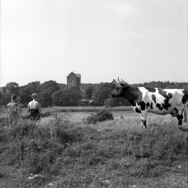 Kastelholms slott