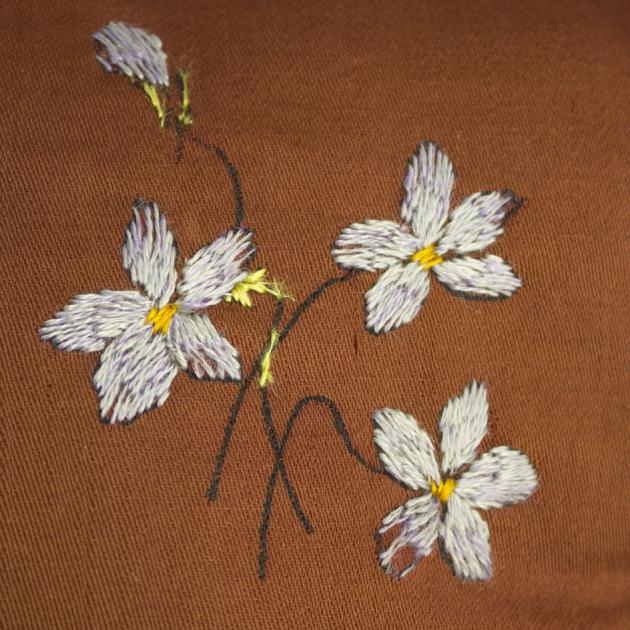 detalj på ljuslila blommor