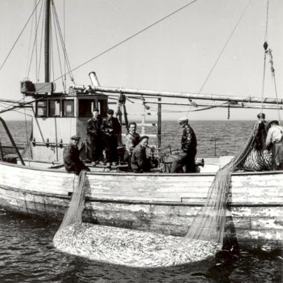 Trålfiske utanför Åland