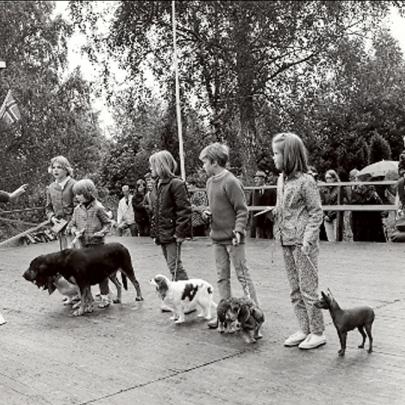 Hundutställning på Nabben, Mariehamn