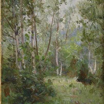 skogsglänta