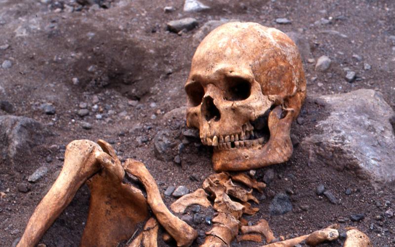 Fotografi på ett medeltida skelett