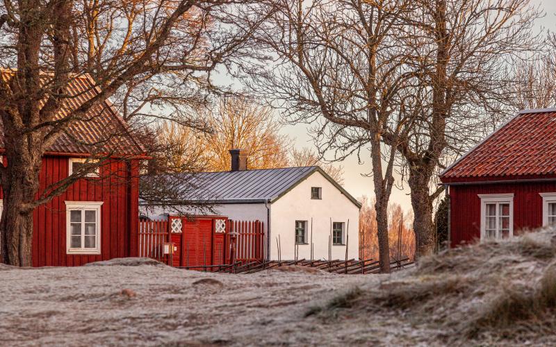 Vinter_jkg